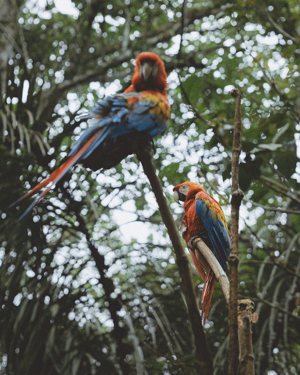 Good sportsmanship means playing hard but fair.↪📴👱42783
dreams life moments because embrace the unknown. dreams time vibes life smile