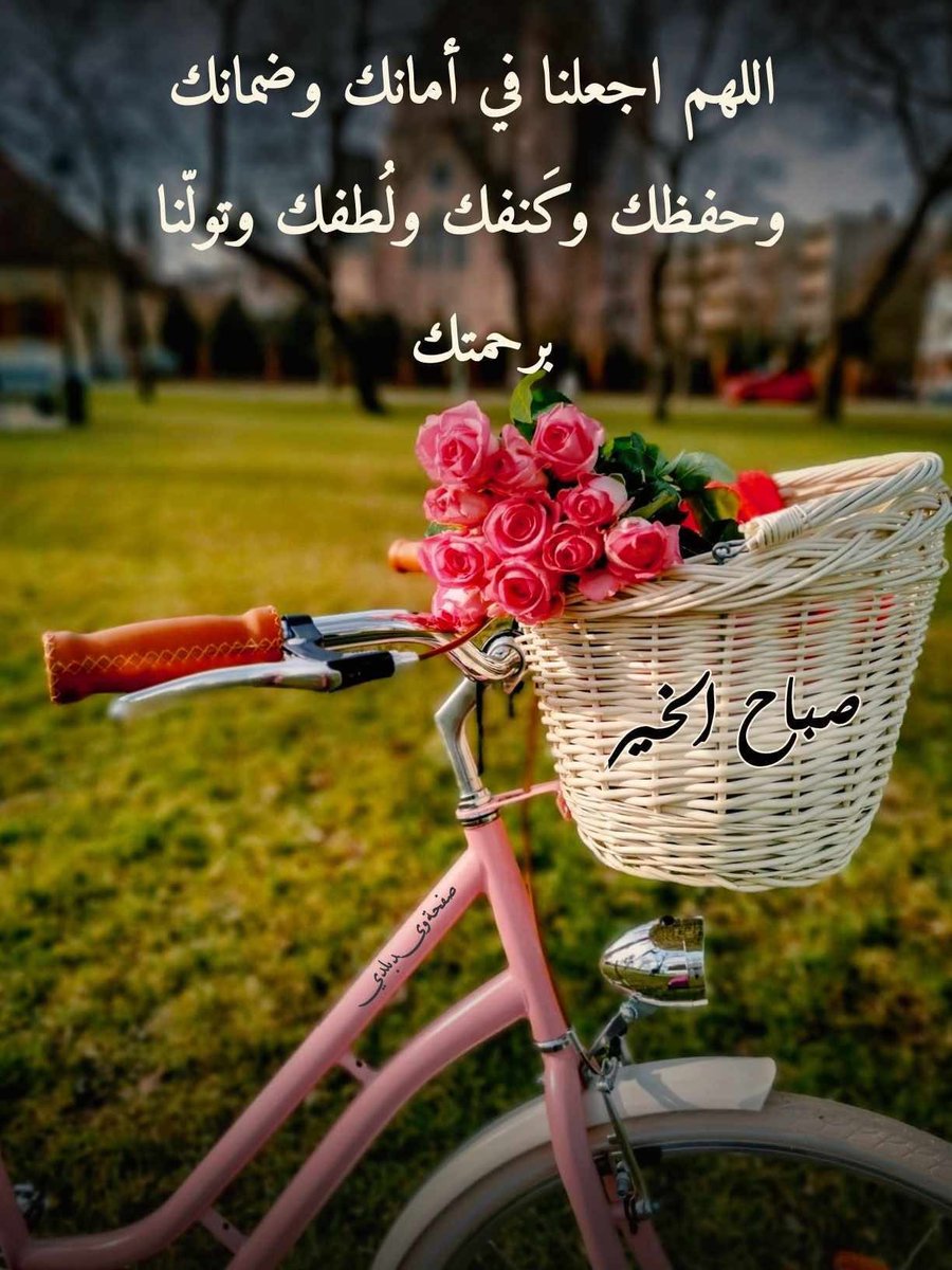 🍃صباحكم بشرى جميلة♥️
🌹وروحاً متفائلة بما عند الله
🍃ونفساً طيبة فرحة بذكر الله
🌹يارب أدم علينا امنك وأمانك
🍃وعافيتك وتوفيقك وسعادتك

#صباح_الخير♥️