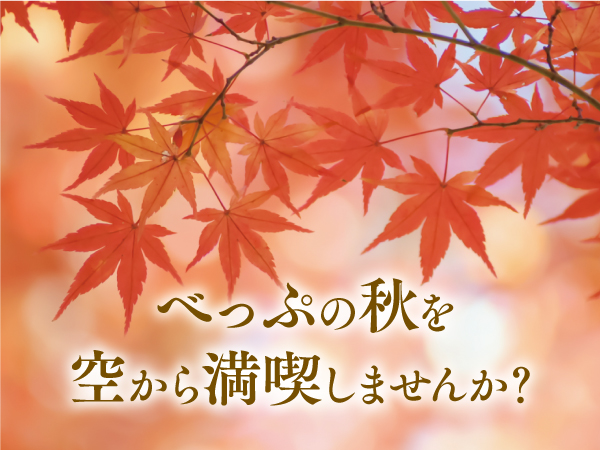shuntouan's tweet photo. 標高1,375mの鶴見岳へと向かうロープウェイからは、“空中の紅葉散歩”を楽しめます。当宿からは車で約10分ほどとアクセスも便利。秋の散策のあとはサウナでととのうのも、旅の良い思い出になりますよ！

別府ロープウェイ
https://t.co/dvs9uWoBYc

#別府温泉　#旅館　#サウナ https://t.co/lxSVtCXdH4