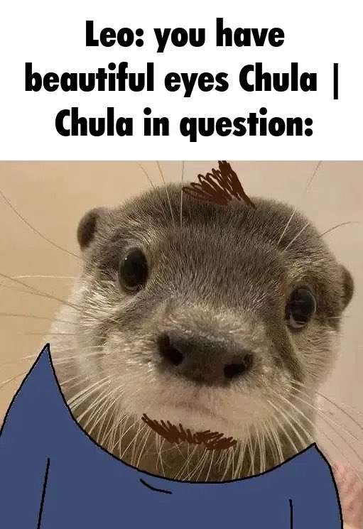 drifthuntrotter's tweet image. Hi