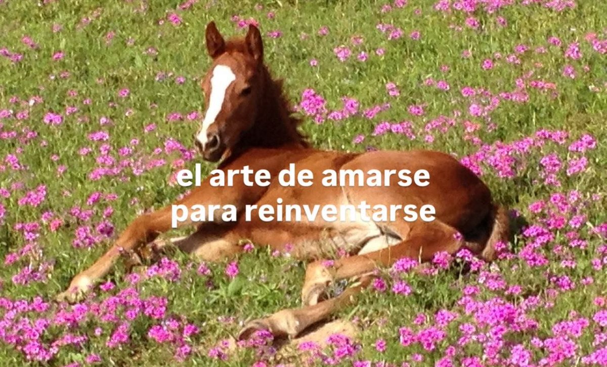 emociones amarillas (@conoloracigarro) on Twitter photo 