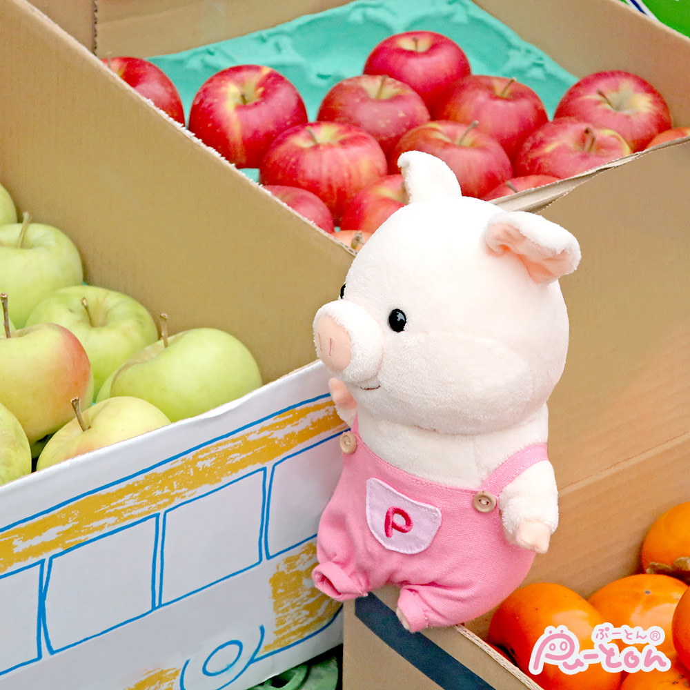 ぷーとん【公式】 (@puuton_ndi) / Posts / X