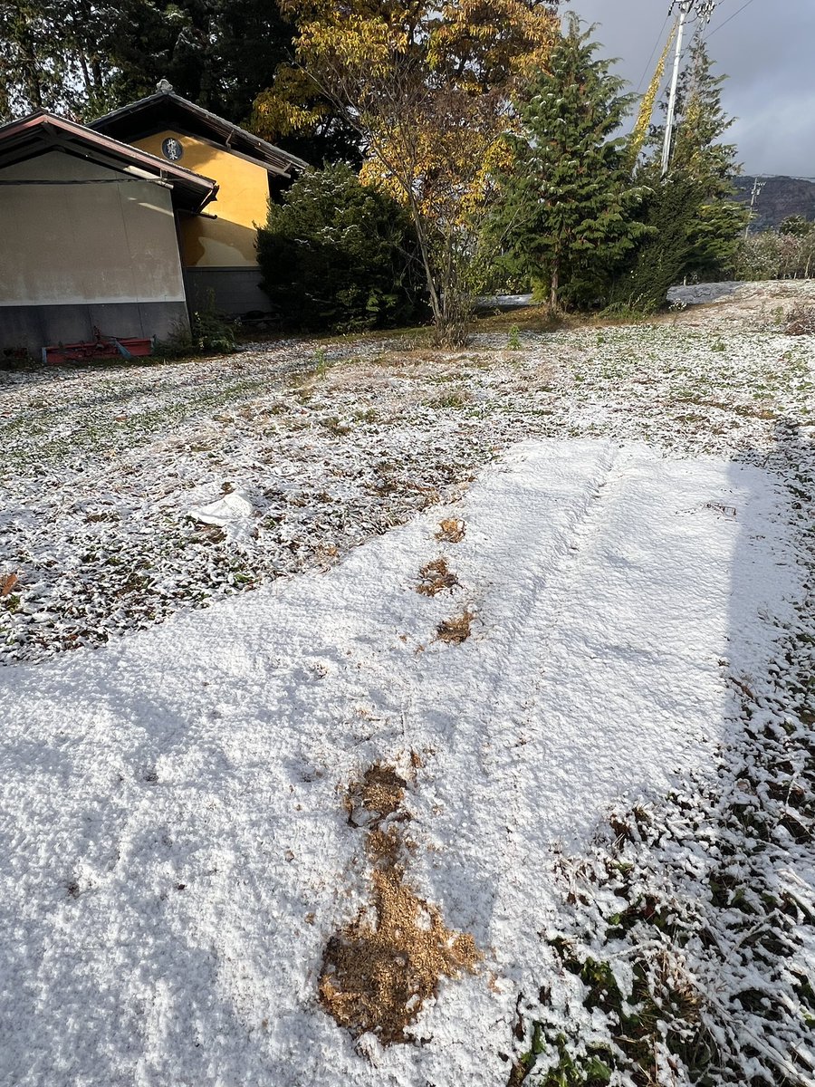 Son of the Smith Hard Cider tweet media