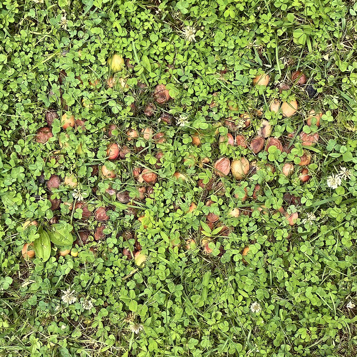 sashastiles's tweet image. Thank you @unityofmulti @RadrTek @August35750182 for acquiring editions of ANALOG BINARY CODE: &quot;this is just to say&quot; (2021), after William Carlos Williams.