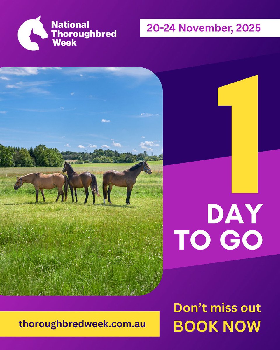 National Thoroughbred Week tweet media
