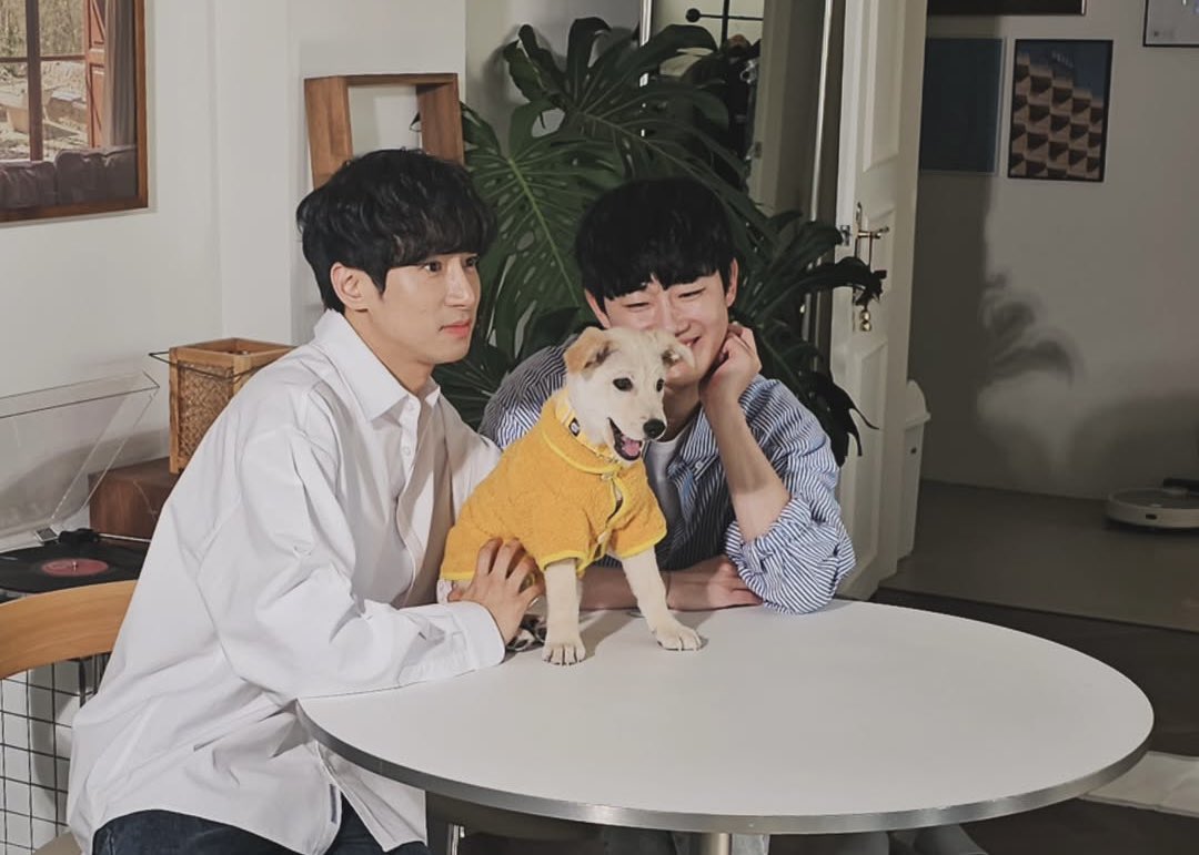 yoxming's tweet image. 누렁1      누렁2      누렁3