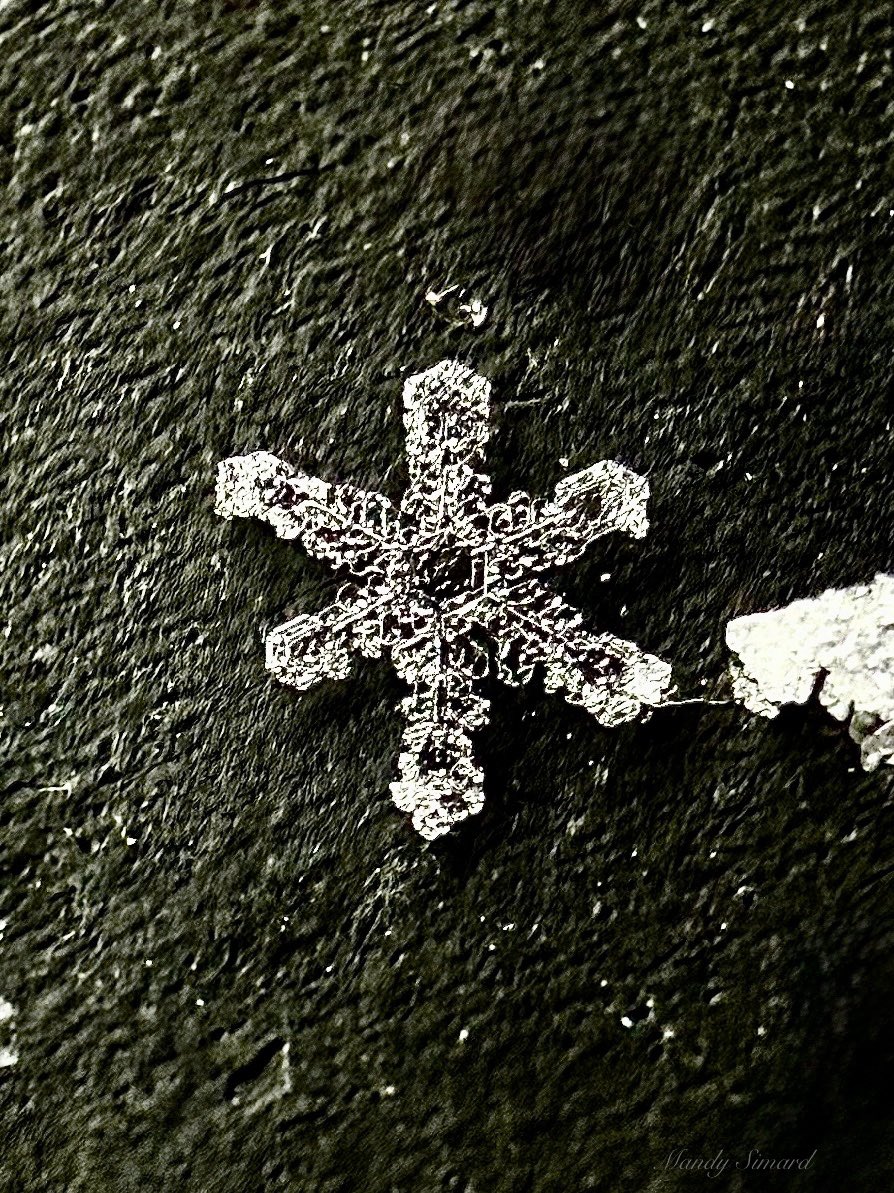 A single snowflake is small, but it carries the magic of winter. ❄️