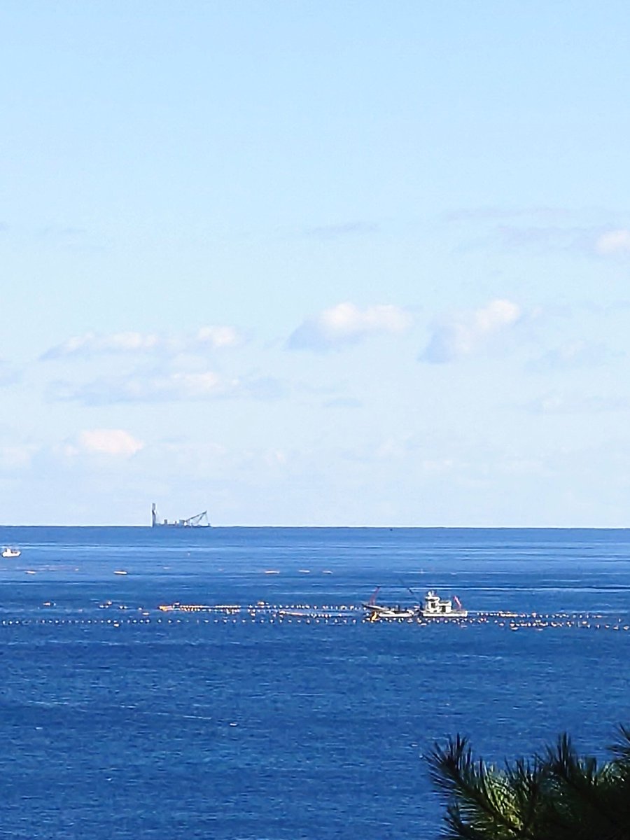 月日の流れは早いな〜
もう今日は49日
晴天の大海原を渡って行くのかな？
晴天の山里を巡りながら熊退治出来ない悔しさを感じながら旅立つのかな〜