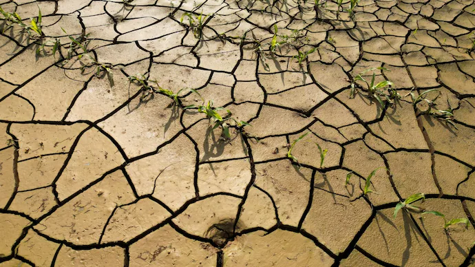 IndiaToday's tweet image. 𝐈𝐧𝐝𝐢𝐚 𝐝𝐫𝐨𝐩𝐬 𝟏𝟑 𝐬𝐩𝐨𝐭𝐬 𝐭𝐨 𝟐𝟑𝐫𝐝 𝐢𝐧 𝐥𝐚𝐭𝐞𝐬𝐭 𝐠𝐥𝐨𝐛𝐚𝐥 𝐜𝐥𝐢𝐦𝐚𝐭𝐞 𝐜𝐡𝐚𝐧𝐠𝐞 𝐩𝐞𝐫𝐟𝐨𝐫𝐦𝐚𝐧𝐜𝐞

#India has fallen 13 places to 23rd in the latest global climate change performance index. The drop is attributed to the absence of a national…