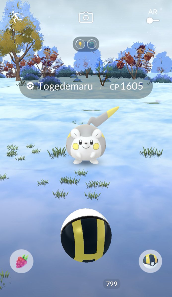 NC42885118's tweet photo. Yes ππ―β‘οΈTogedemaruβ‘οΈπ―π Good night PoGo friends π€βοΈπ«Άπ #PokemonGO #PokemonGOApp #PokemonGOfriend #PokemonGOHundo #γγ±γ’γ³GO
#γγ±γ’γ³GOγ’γγͺ https://t.co/mzJmPMDfMB