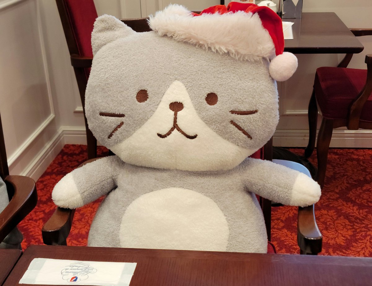 qgLAyf2zuE71454's tweet image. ハッチ
堂々とした佇まい

#コロンバン 
#ふくふくにゃんこ