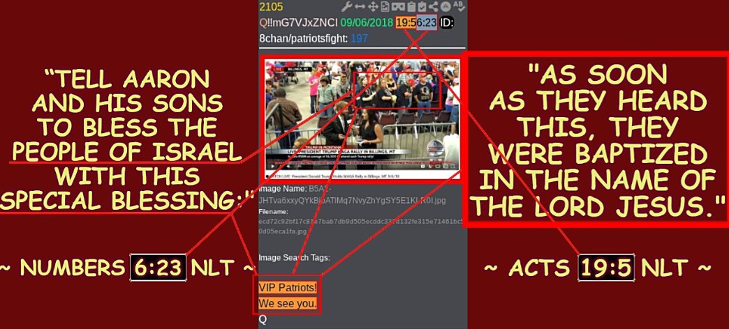 Sarah Snyder Trusts The Plan tweet media