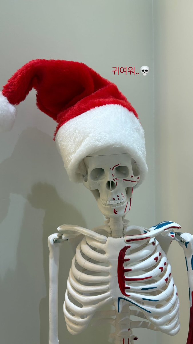 요즘 오전운동으로 필라테스 다니는데 척추에 진심인 울 원장님 뼈 모형을 여기저기 데코템으로 놓으셨는데 메인해골님 이번주부터 산타되셨네🎅🏻 귀여워…💀♥️