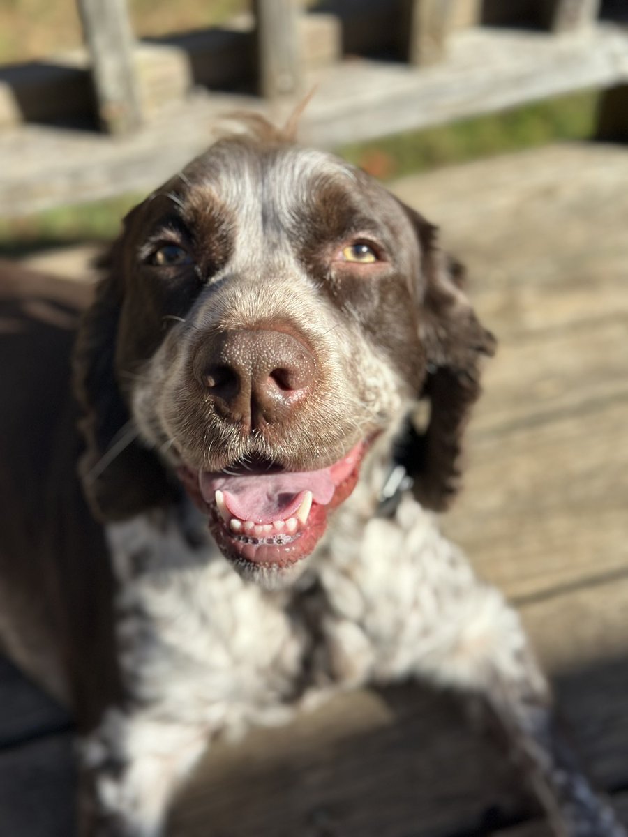 <a href="/SalvadorDafti/">𝙱𝚘𝚋𝚋𝚢’𝚜 𝙷𝚎𝚎𝚕</a> <a href="/RobGeorge/">Robert A. George</a> “I ain’t got that much jam.”