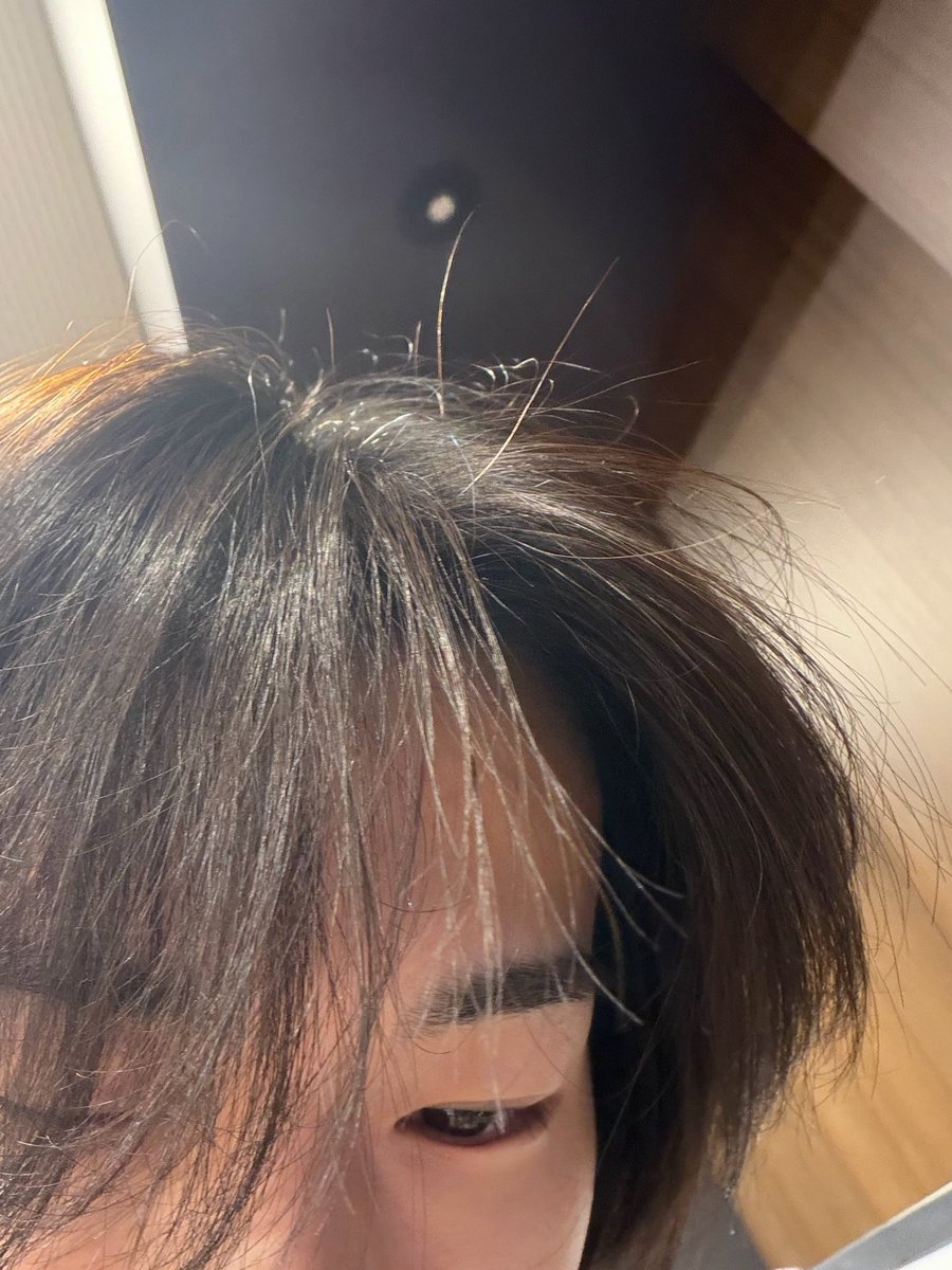 陳, Erren. tweet media