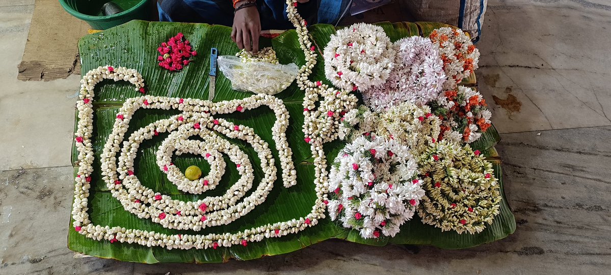 maathorubhagan's tweet image. மதுர மல்லியப்பூ வாசம் 
#விழிமொழி 🤍🤍🤍🤍