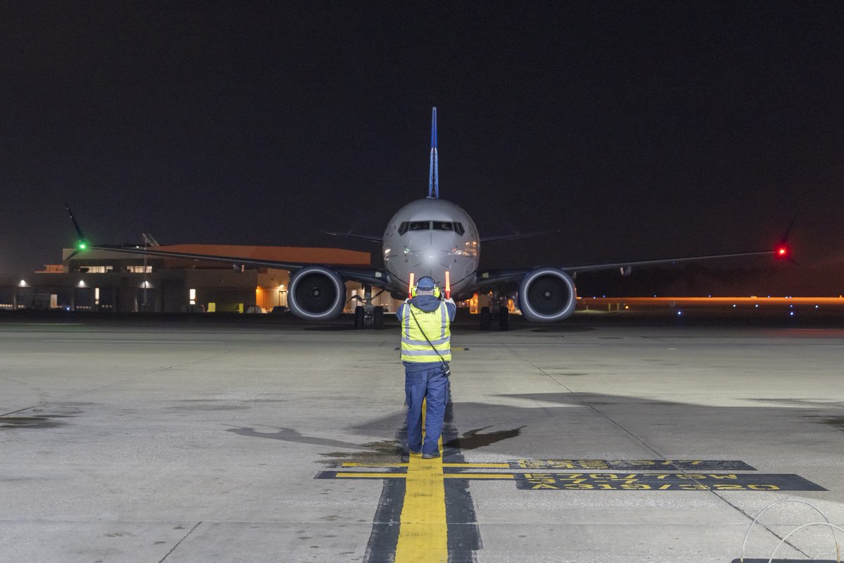 Dave DiCello tweet media