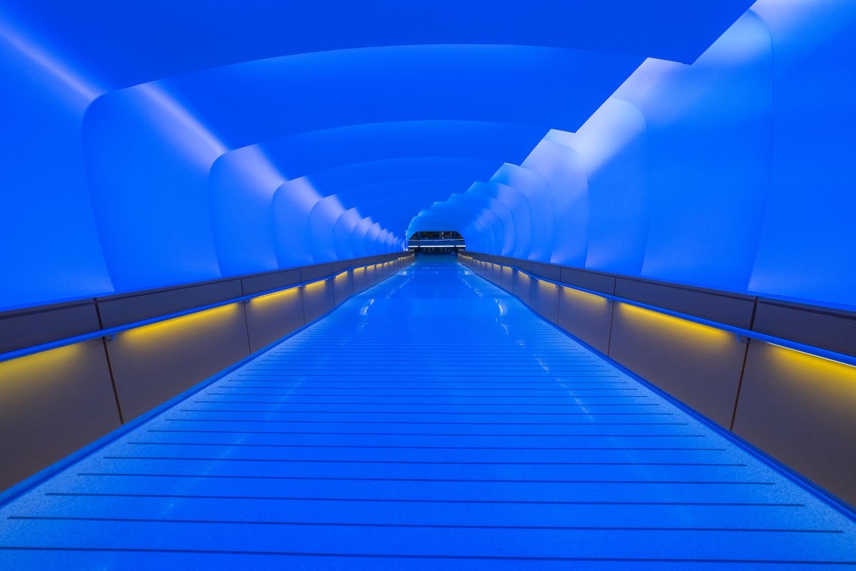 Dave DiCello tweet media