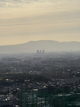 AlvionH61407's tweet image. I slept straight through the night—guess I was really tired. Here are photos and videos from this morning in Osaka. You can see Abeno Harukas, Mt. Ikoma, and even mountains near Kyoto.
#Osaka #MorningView #Galaxy
