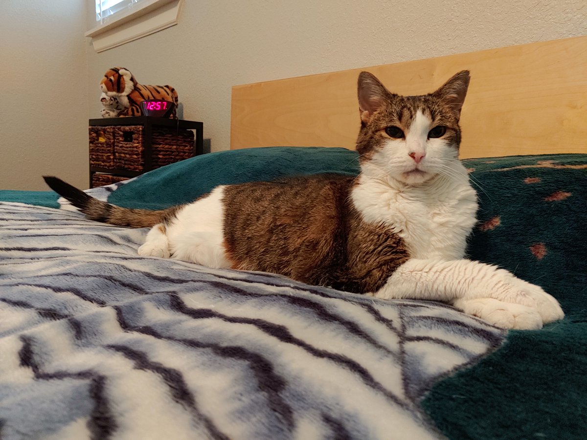 Vesgrrrrr 🔜 TFF @veskartiger.bsky.social tweet media