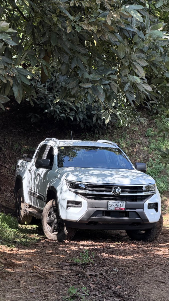 El nuevo <a href="/Volkswagen_MX/">Volkswagen México</a> Amarok ha cambiado por completo y en México está disponible en seis versiones y tres diferentes motores, uno a gasolina con 302 hp y 452 Nm de torque y dos a diésel con 170 o 210 hp y 405 Nm o hasta 500 Nm de torque. Todas con tracción 4Motion.