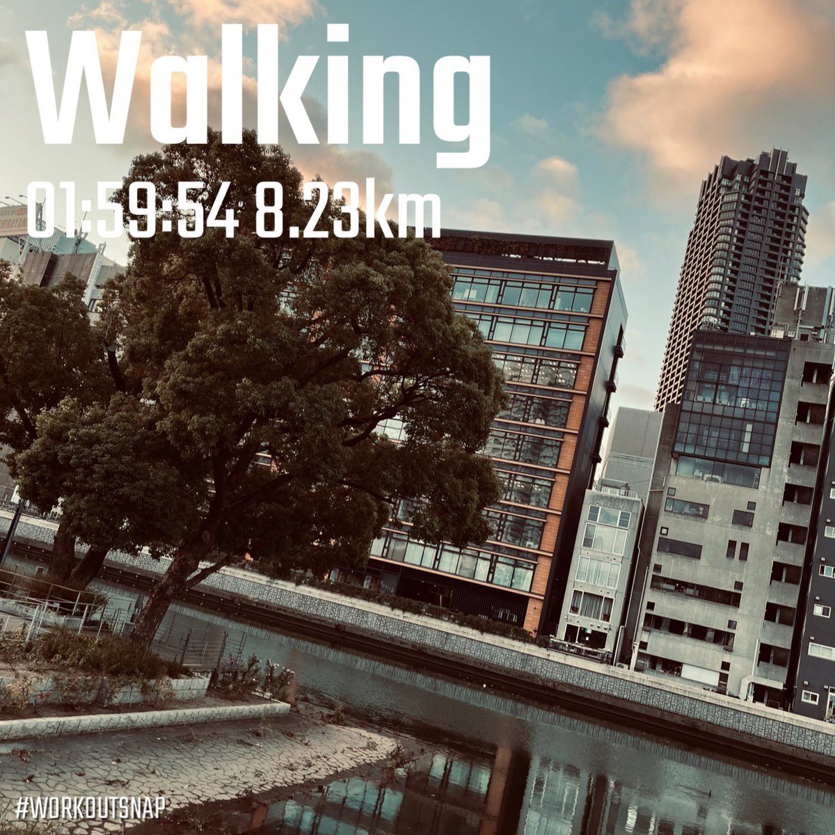朝ウォーキング🚶☀️

隠さないこと
周りは気にしない
いつでも今しかない
一寸先はなんとやら
ループする悩み
出口は見えず
それもまたまた
楽しんだもん勝ち
たまには負けてみて

#ウォーキング
#朝活