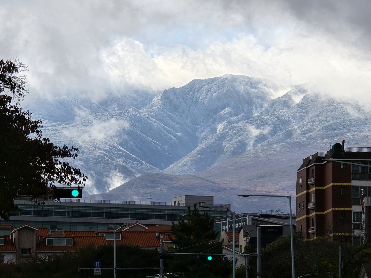 한라산 눈 왔당
