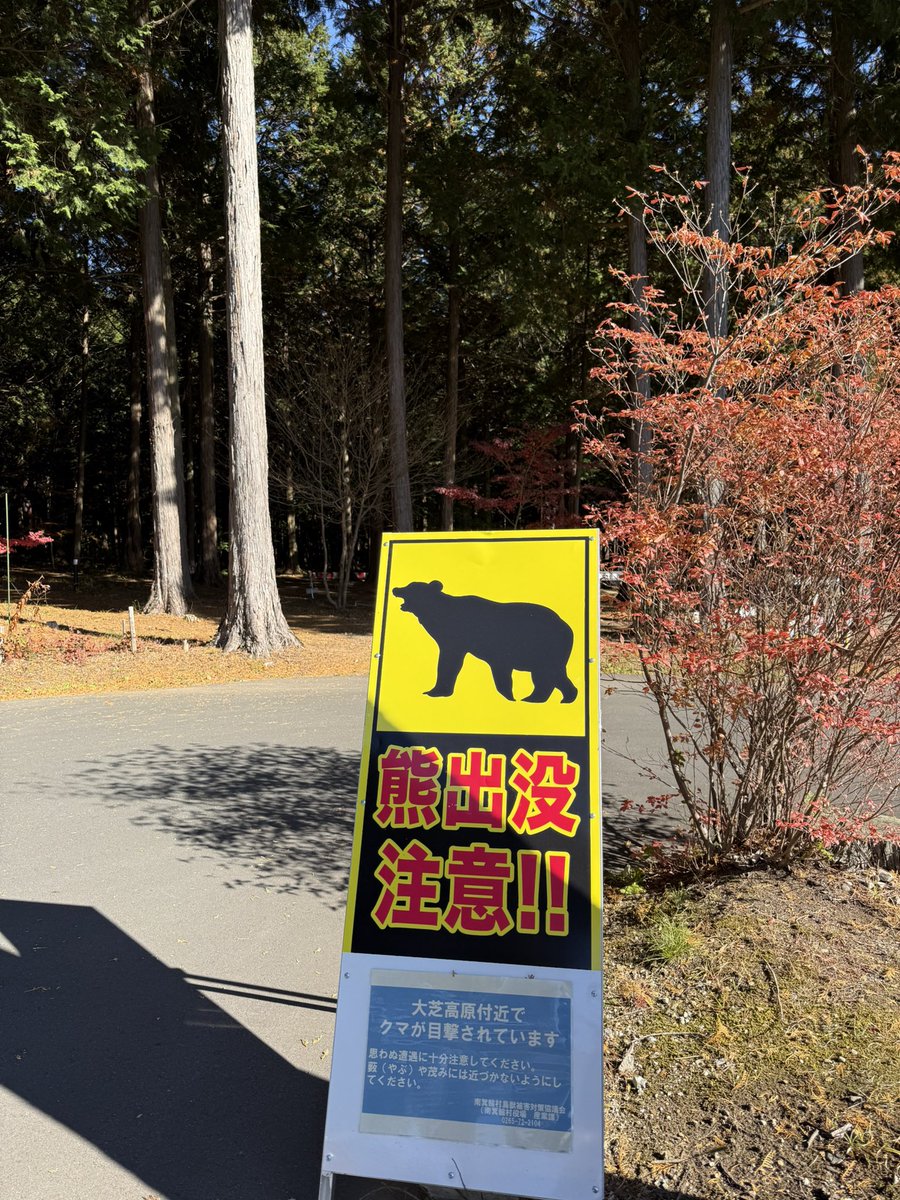 昨夜はお客さんと伊那北で遅くまで盛り上がったので今朝は軽井沢戻る前に森林浴♨️
隣に伊那国際⛳️もあるから来年息子の試合ついでにまた来ます😊