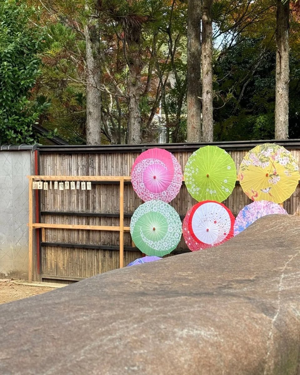 The_Stone_Oishi's tweet photo. Today I wrote my wish on a wooden wish tag and offered it.
As I placed it on the rack, I felt a gentle power flowing.
If you ever visit, try writing your wish too.
It’s a simple act, but it may touch the heart.

#thestone #makeawish #WoodenWishTag https://t.co/jovBD0omnH
