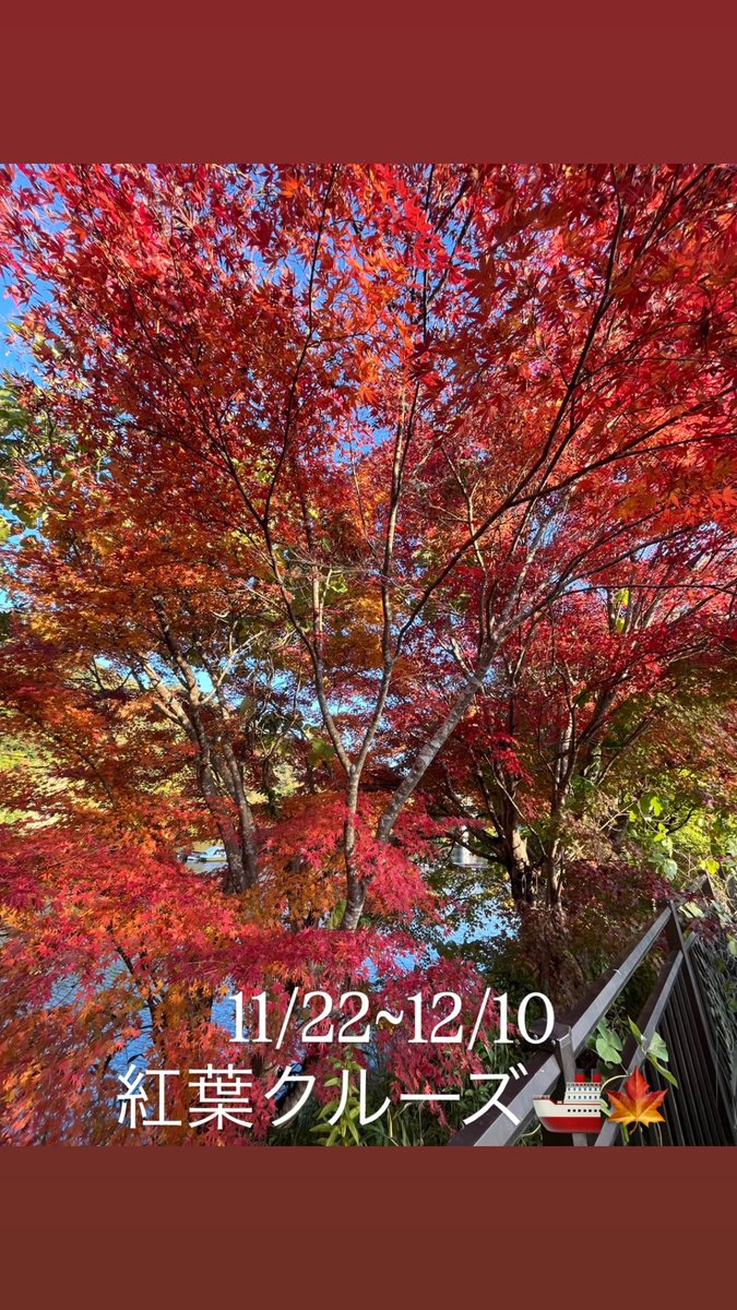 今朝は0.7℃と今季1番の冷え込みに🥶💦
お天気のいい日も続いていて、紅葉も見頃に近づいています🍁✨️
11/22からは紅葉狩りクルーズもはじまります🚢✨️
釣り人の皆様にはご迷惑おかけしますが、ご協力お願いします🙇‍♀️
#のむらボート
#紅葉クルーズ
#猪ノ川コース
#亀山湖
#奥房総
#クマなし県