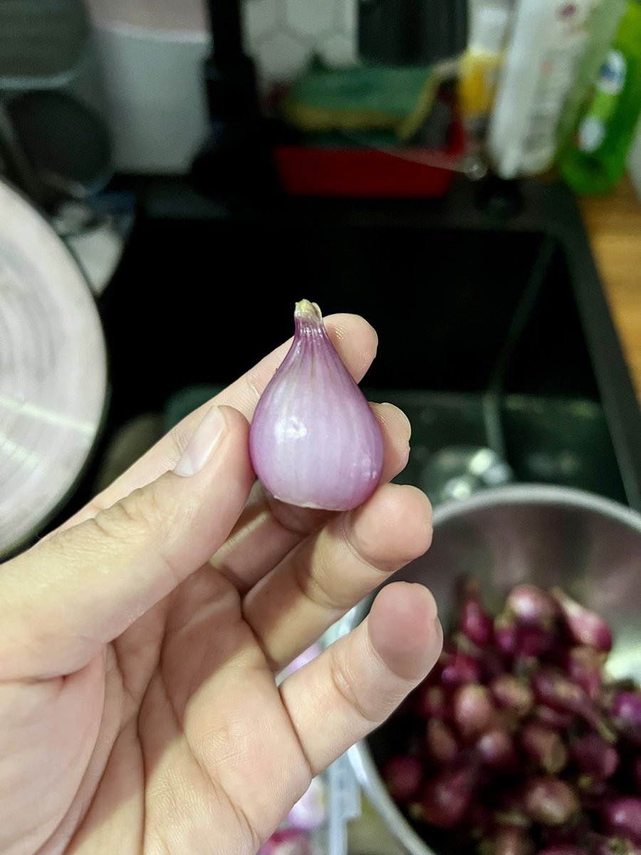 mashelicious's tweet photo. aku baru nyobain tips dr tt ini. kupas bawang merah tanpa mata perih pake cara rendam bawangnya di air beberapa menit dulu. beneran ngga bikin mata perih dan gampang banget kupasnya 😄😄 https://t.co/hKlyIHxbLz