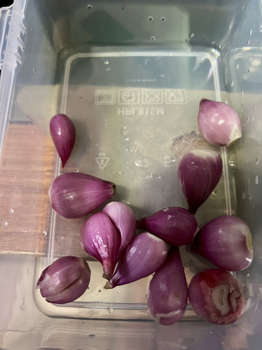 mashelicious's tweet photo. aku baru nyobain tips dr tt ini. kupas bawang merah tanpa mata perih pake cara rendam bawangnya di air beberapa menit dulu. beneran ngga bikin mata perih dan gampang banget kupasnya 😄😄 https://t.co/hKlyIHxbLz