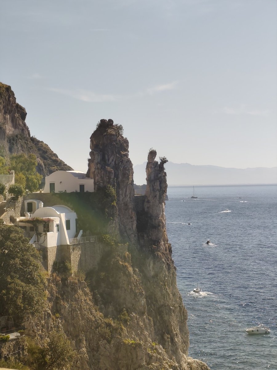 Blue Demon 1810 tweet media