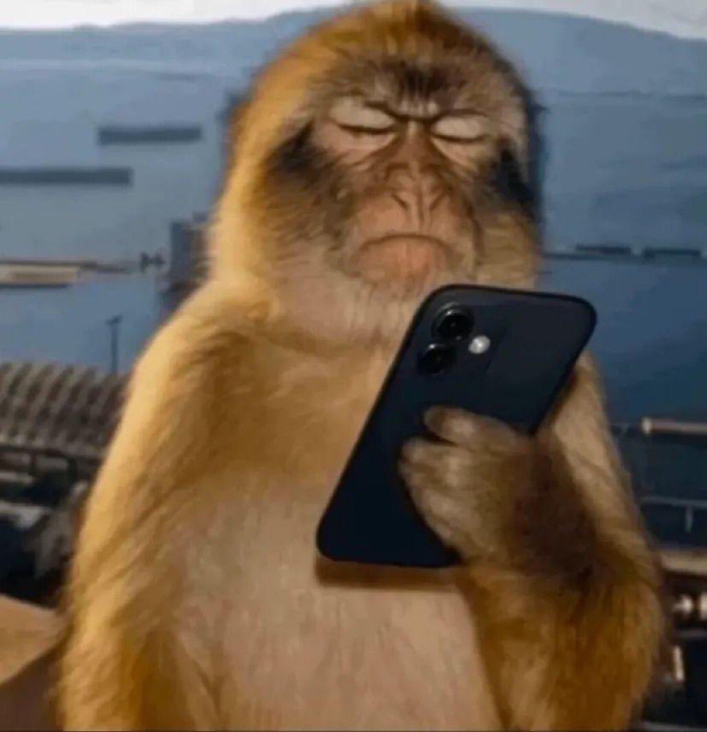 yo revisando mis compartidos en tik tok para ver si eso queda con mi vibe o no