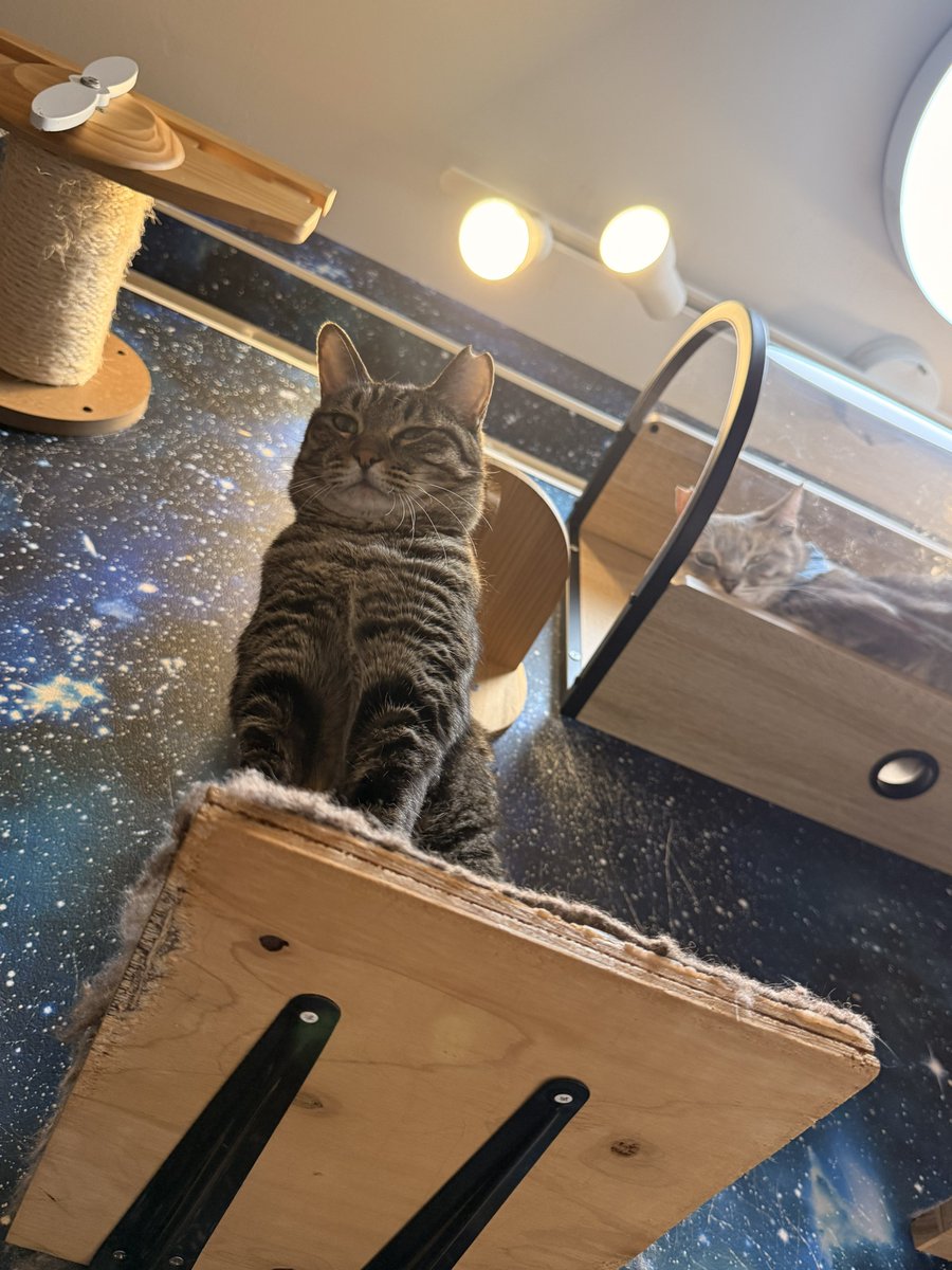 雷十太先生 (@asjSvnCZl18wKXM) / Posts / X