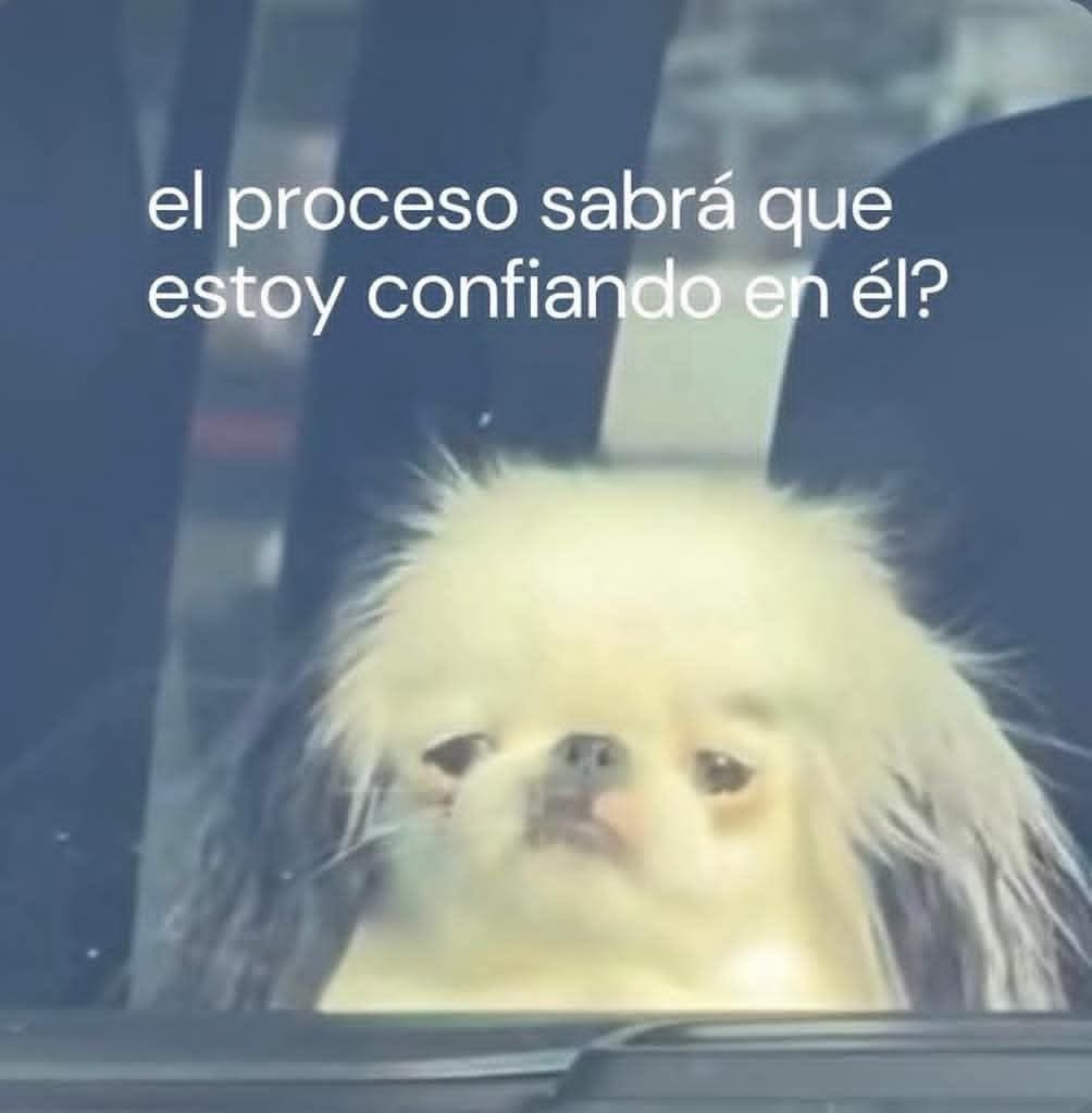 Acepto consejos de estabilidad emocional, ya tuve otro colapso.