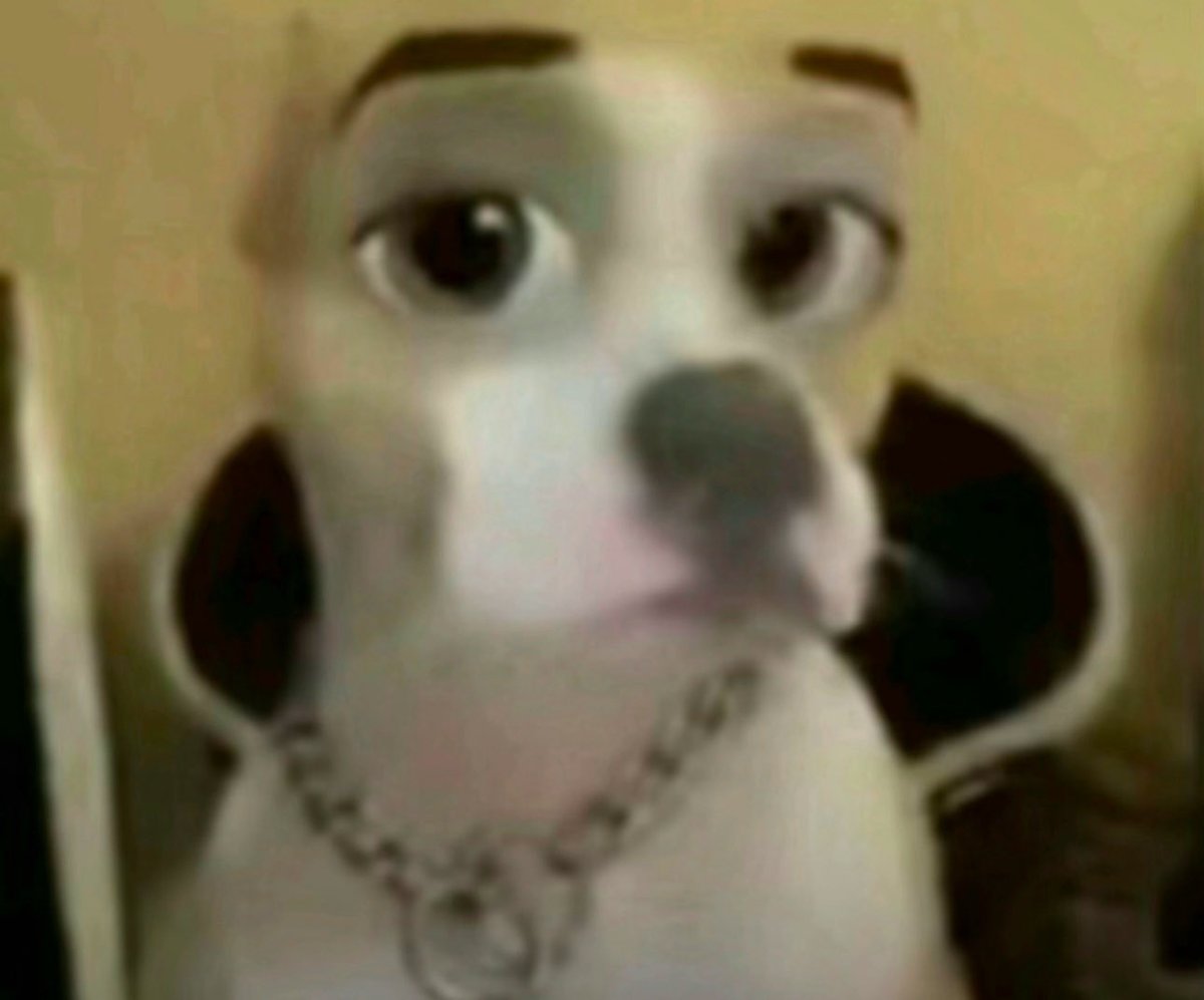 guys it’s my birthday