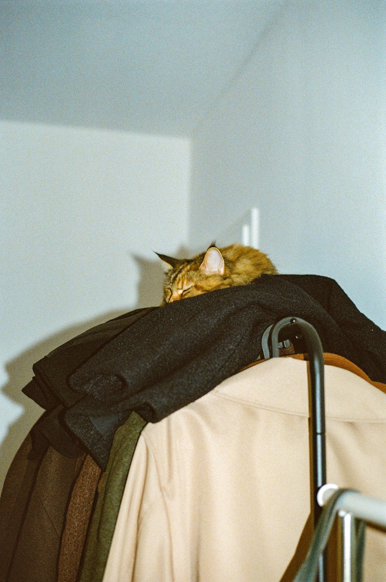 lulu hit by flashbangs and portra 800