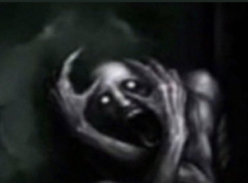 bee 🇵🇸 tweet media