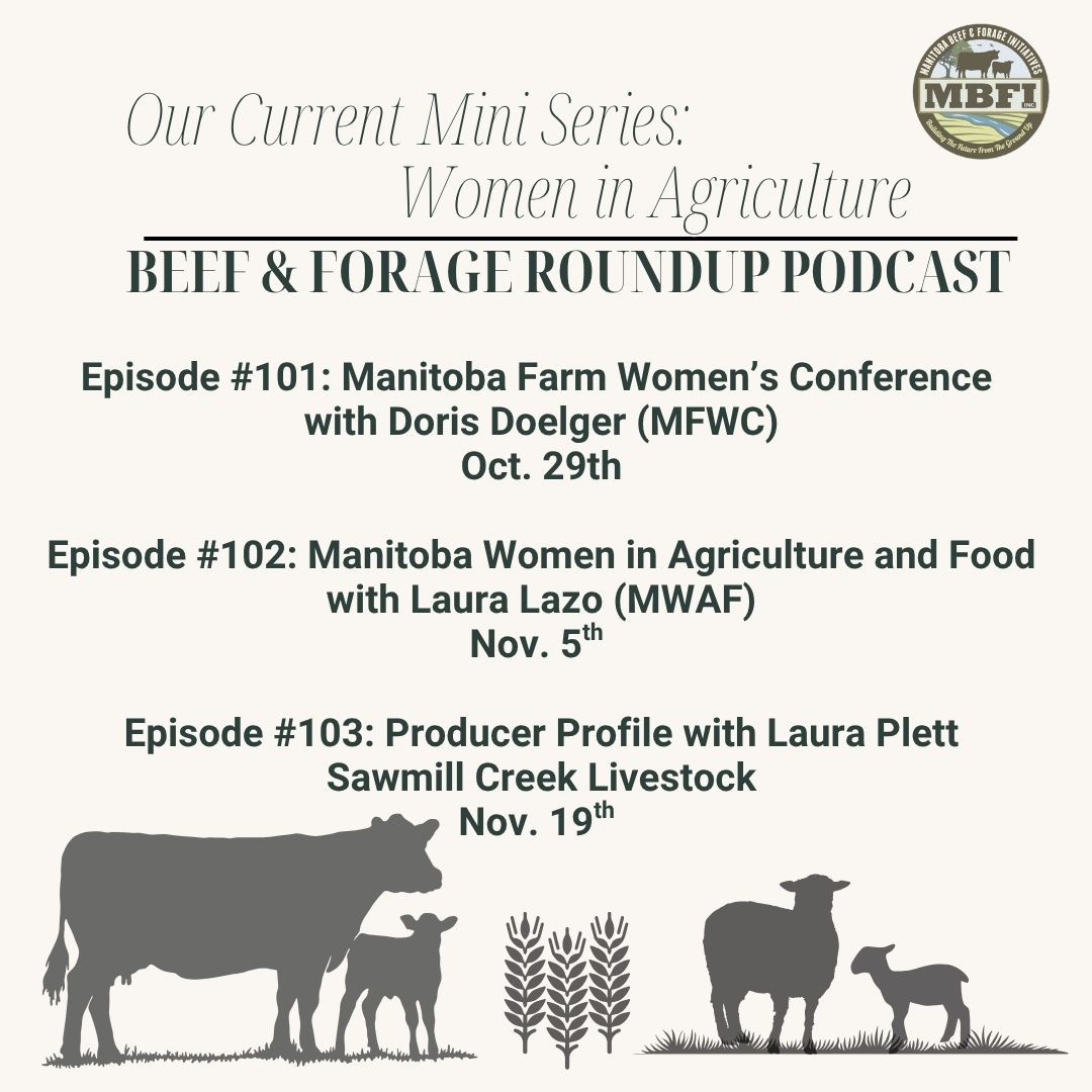 Tomorrow's episode with Laura Plett wraps up our current mini series focusing on Women in Agriculture.  

Tune in to all three episodes!

Subscribe today!  Available wherever you listen to podcasts &amp; at: beef-and-forage-roundup.captivate.fm

<a href="/MBGovAg/">Manitoba Agriculture</a> <a href="/DUCmanitoba/">Ducks Unlimited MB</a> <a href="/ManitobaBeef/">Manitoba Beef Producers</a> <a href="/MWAF204/">MB Women in Ag &Food</a>