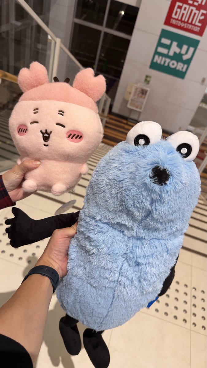 ゆたたさん ゆた (@0201Yut) / Posts / X