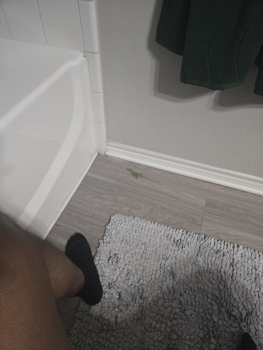 CallmeAJtho's tweet photo. Just in here tryna use the restroom
before a shower and got visited by a DINOSAUR https://t.co/bht0wC5srF