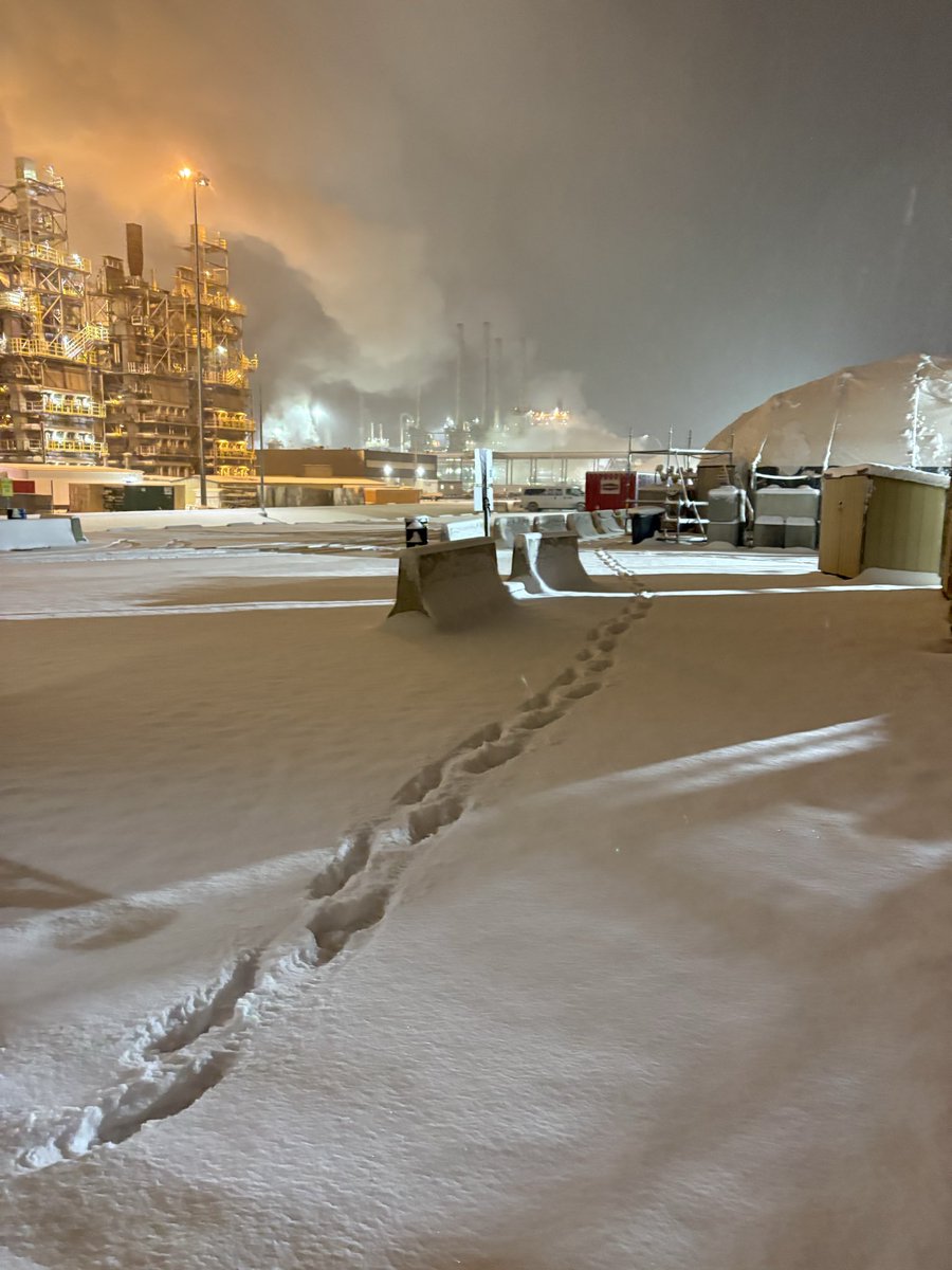 caperstumpy's tweet image. Got a nice dump of snow today and it&apos;s still coming Alberta 🇨🇦 🍁