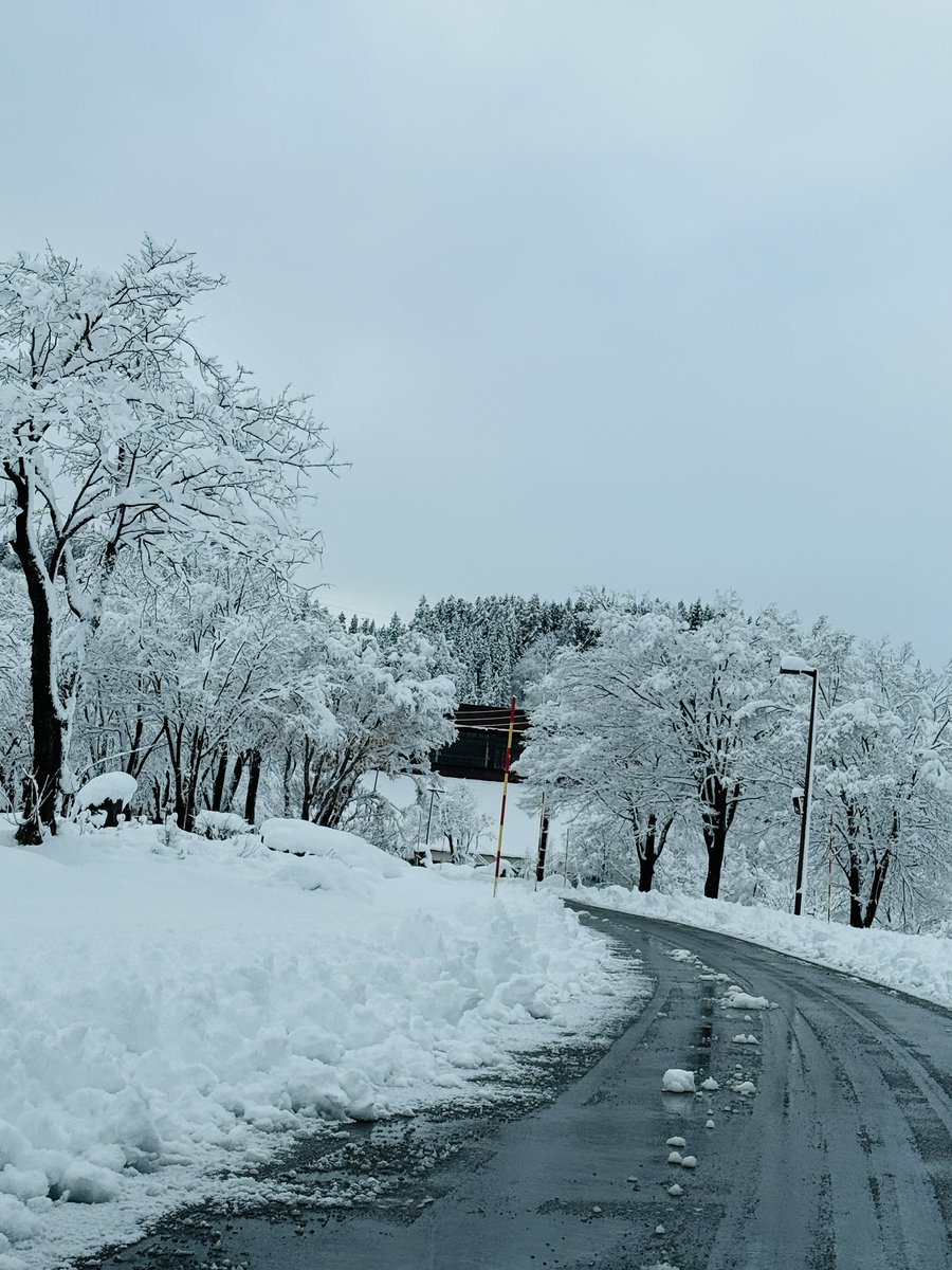 朝の様子です☺︎
ホテル周辺は除雪車も出動しました💡
20cm以上は降りましたね☃️