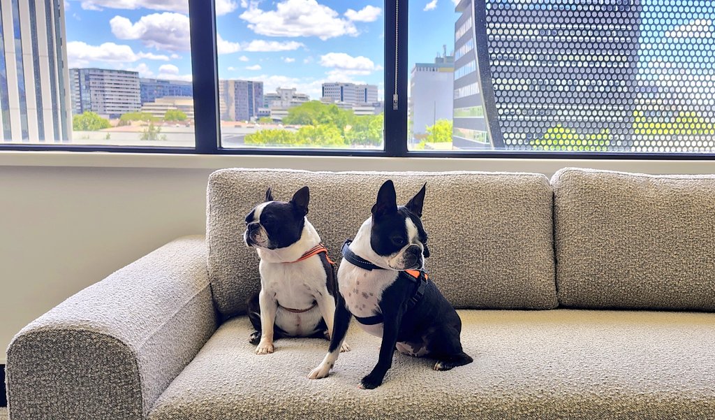 Trilaterálne rozhovory boli zahájené. 🐾😉