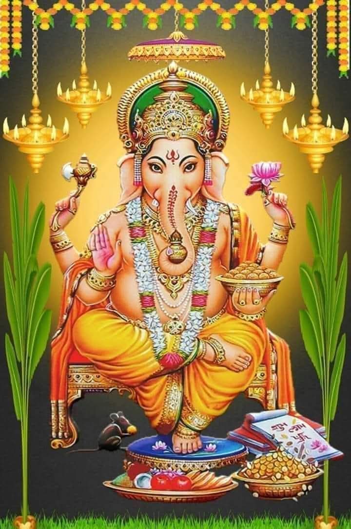 जय-जय गणपति गज वदन, जनहित हित उपदेश।
गज मुख  वर  दायक  नयन, उमा तनय   परमेश।।

छल बल कल करता मनुज, प्रभु वर कर नित ध्यान।
विमल  हृदय  प्रभुवर  करो, जटिल  समय  पहचान।।

चरण कमल शत-शत नमन, शुभ जप तप कर आज।
विमल   हृदय   प्रभुवर  करें, सुखमय   रहे   समाज।।