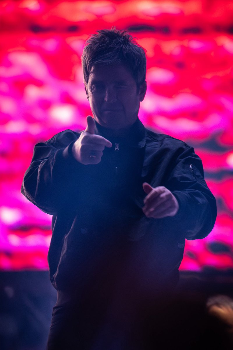 dfallaccess's tweet image. 