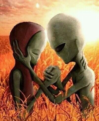 gvn3s's tweet image. me sinto assim quando vejo que to no cf do pvd