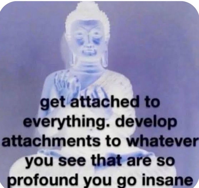 dusty_bumps's tweet image. 