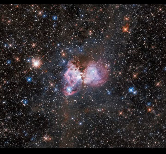 konstructivizm's tweet image. Behold the cosmic cradle! This stunning Hubble snapshot peers into the fiery heart of a stellar nursery, nestled within the Tarantula Nebula. It&apos;s a front-row seat to the spectacular and violent birth of massive stars.
(Credit: ESA/Hubble, NASA, I. Stephens)